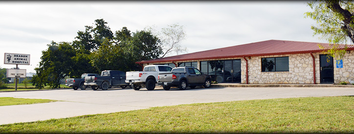 Veterinarians and Animal Hospital near Kenedy, TX